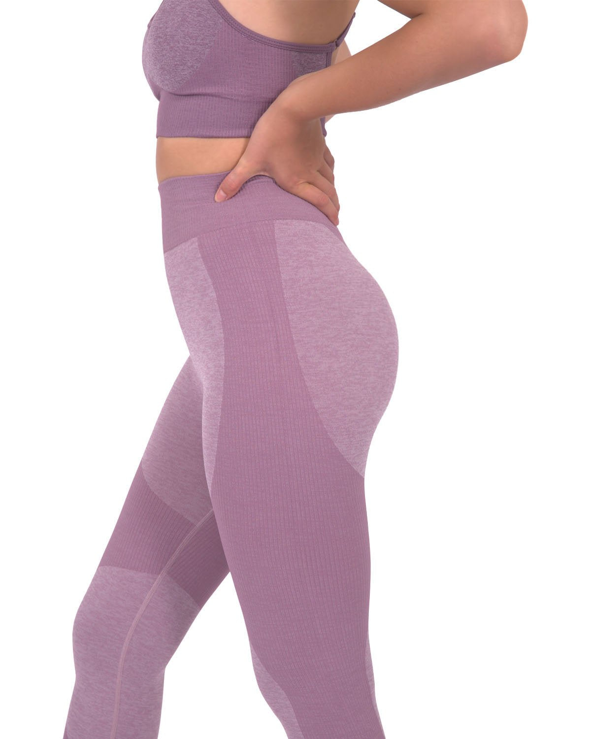 Megara Seamless Leggings – Purple with Striped Panels