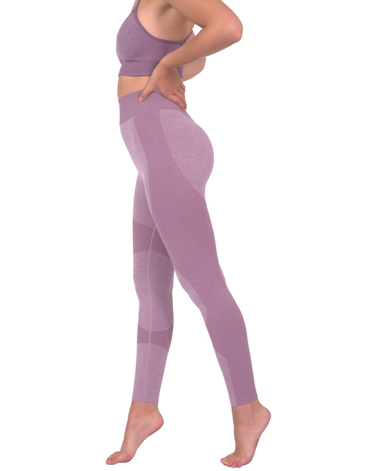 Megara Seamless Leggings – Purple with Striped Panels