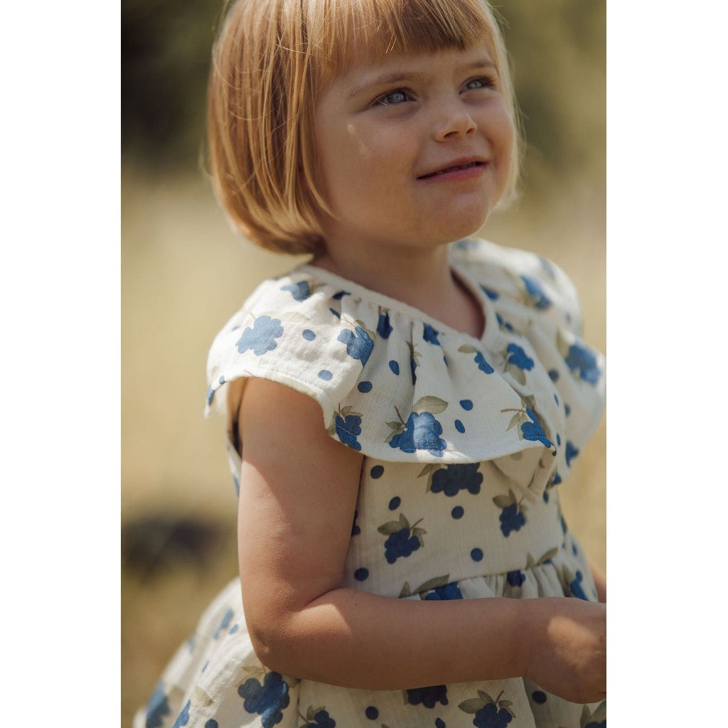 Organic Blueberry Ruffle Dress
